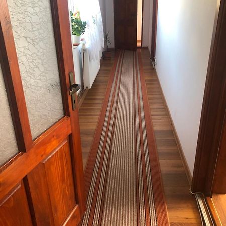 Pensiunea Lacramioara Dornavátra Kültér fotó