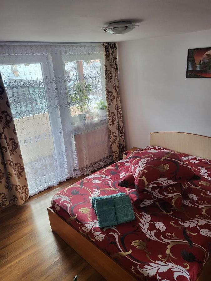 Pensiunea Lacramioara Dornavátra Kültér fotó