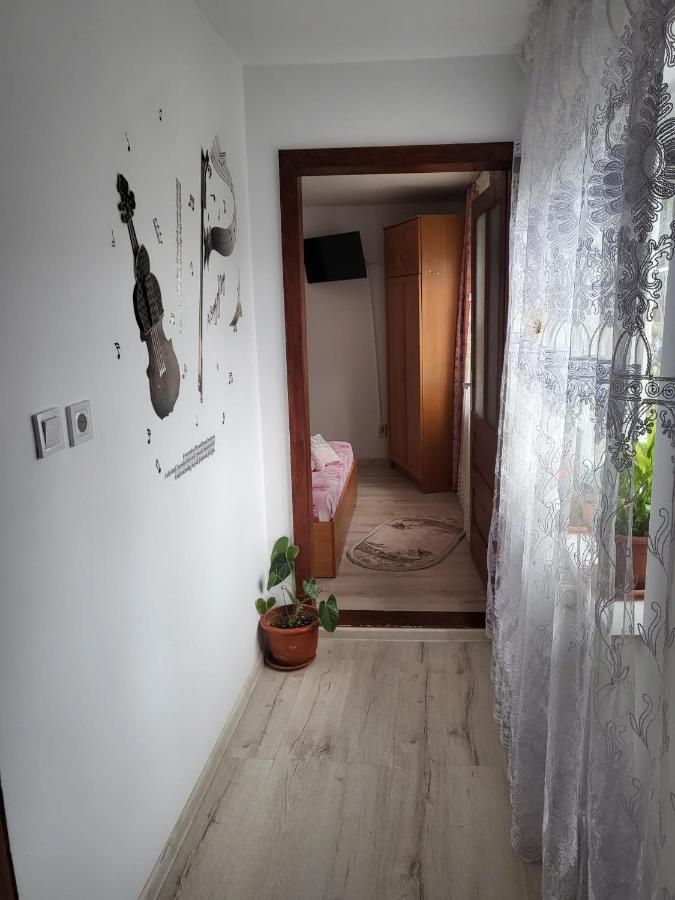 Pensiunea Lacramioara Dornavátra Kültér fotó